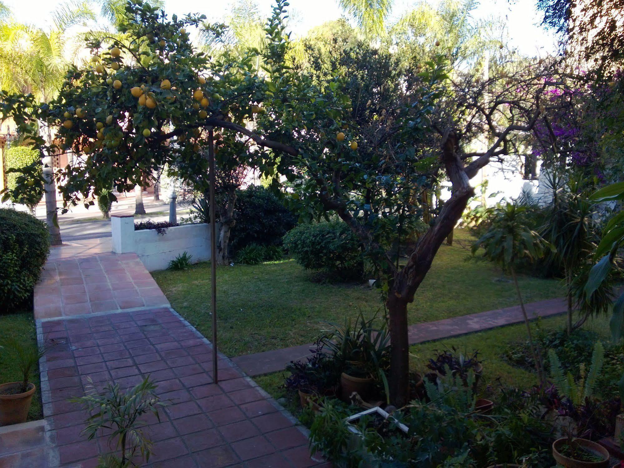 Escandinavia Torremolinos Buitenkant foto